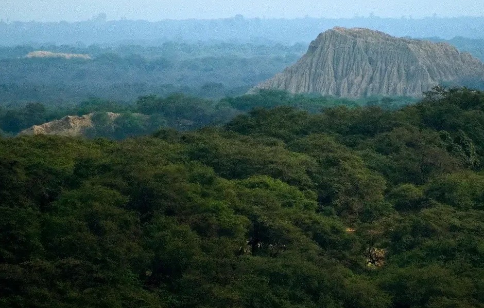 Bosque de Pomac